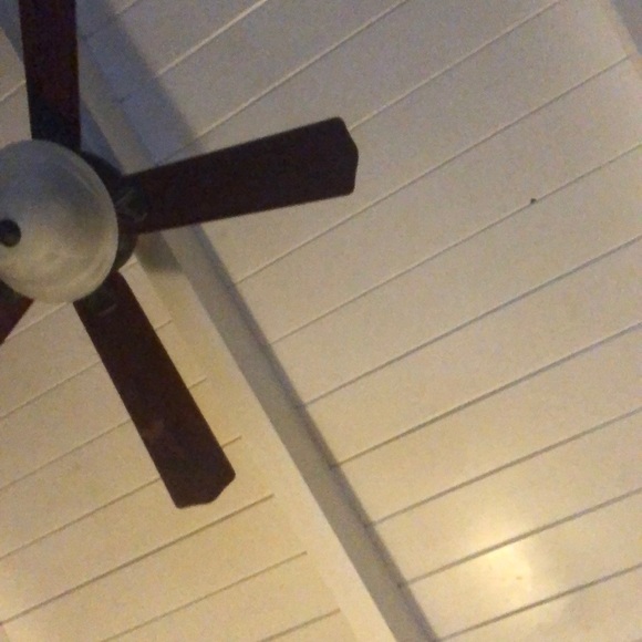 Meet your Posher, Michael - Picture 1 of 1